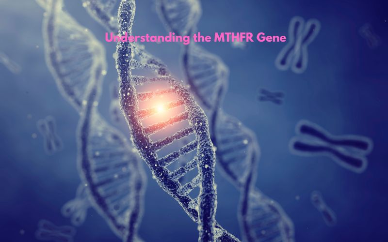 Understanding the MTHFR Gene: A Guide for Mid-Life Women