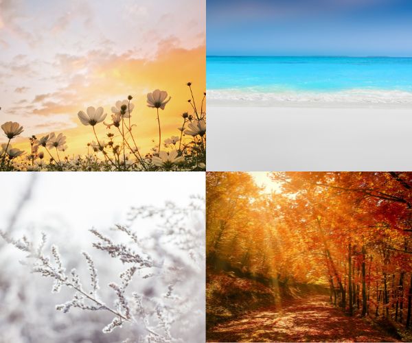 Seasonal Emotions: How Weather Changes Impact Your Mental Wellbeing