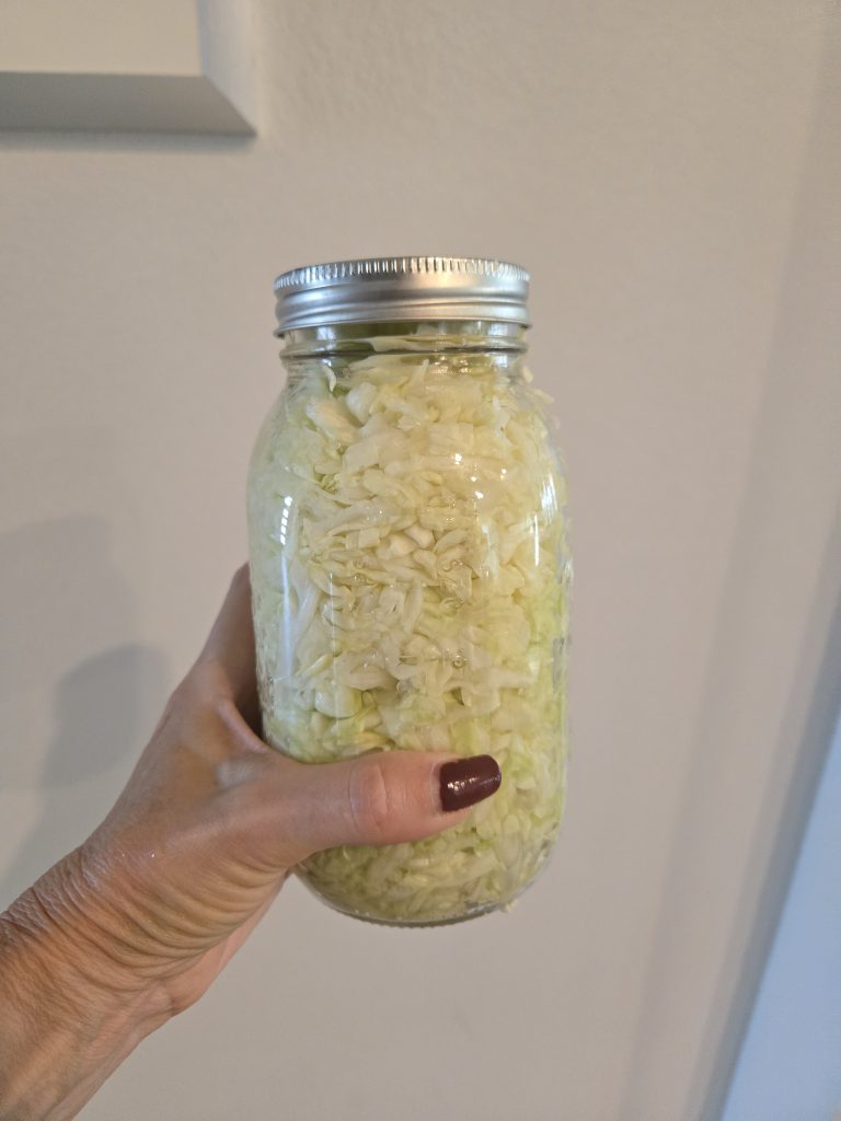 raw Sauerkraut in jar